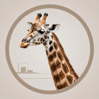 Магазин телеграм