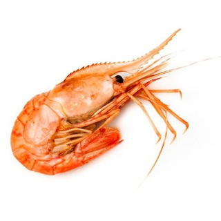 Канал   🦐🦑Морепродукты🦑🦐