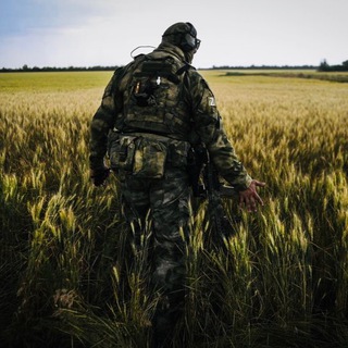 Канал   Полк 1430 и 1429