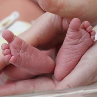 Канал   Суррогатное материнство Мама-Поиск