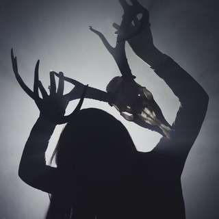 Канал   ✨🐉В гостях у ведьмы 🐉 ✨