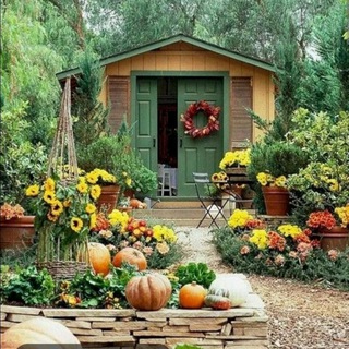 Канал   САД И ОГОРОД