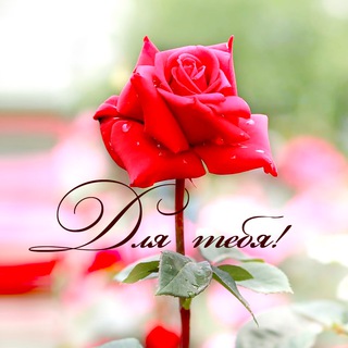 Канал   ОТКРЫТКИ🌹Поздравления