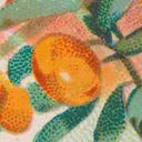 Канал mikan.academy