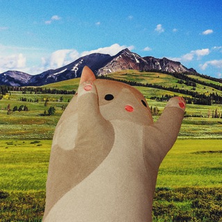 Канал   ВАЛЕРА, ГДЕ МЫ?!