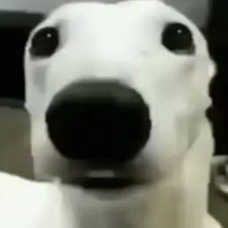 Канал   Ладно