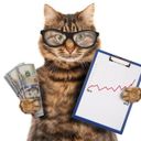 Канал Кот с Уолл Стрит