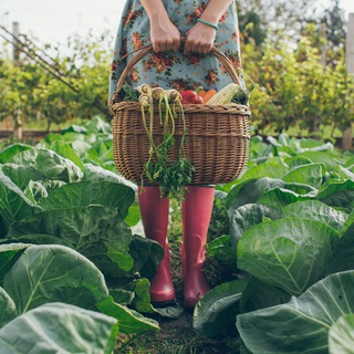 Канал   Садовые секреты