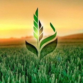   Агромаркет