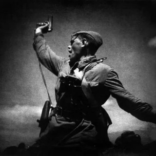 Канал   WarzoneChronicles