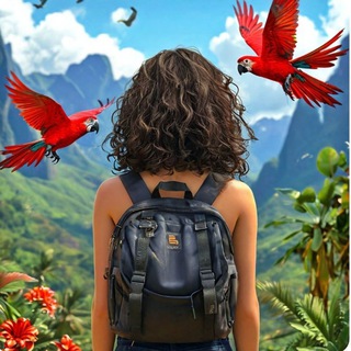 Канал   Лили в пути 🌎