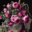 Канал БОЖЕНА