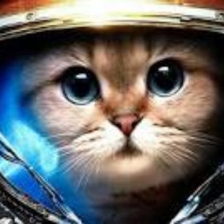 Канал   Заметки Волкова