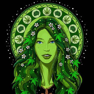 Канал   BooBooBama