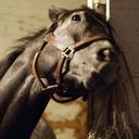 Канал Канал SAPa