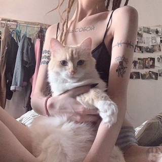 Канал   Pups & Pets