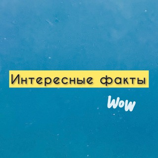 Канал   Интересные факты