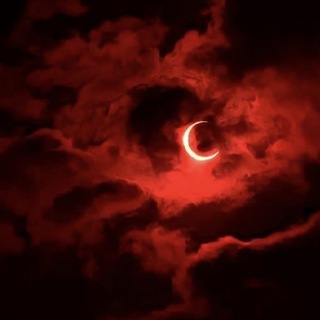 Канал   Blinded by moonlight