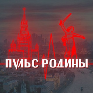 Канал   ПУЛЬС РОДИНЫ