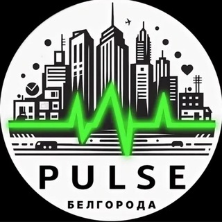 Канал   Белгород Пульс