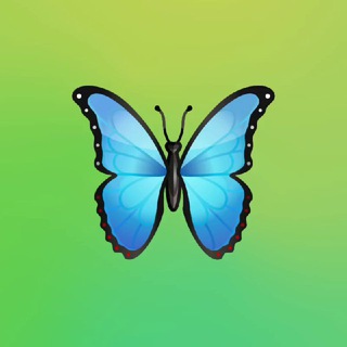 Канал   𝑀𝑟. 𝑀𝑒𝑟𝑐𝑢𝑟𝑖𝑢𝑠-𝑓𝑙𝑎𝑣𝑜𝑟 💐