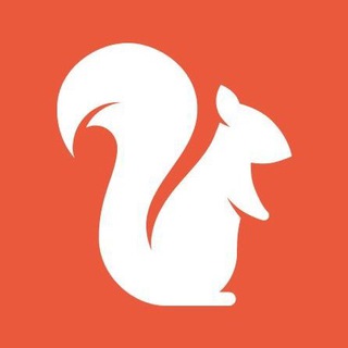 Канал   Белка хулиганка | про природу и животных