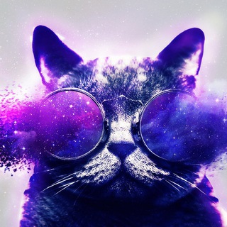 Канал   Пурпурный юмор // Мемы, приколы, юмор