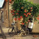 Канал Travelclever