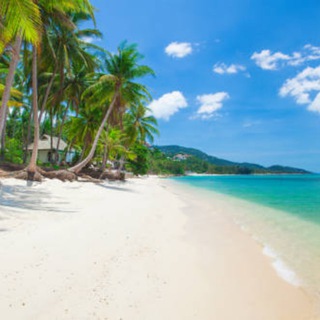 Канал   САМУИ ОБЪЯВЛЕНИЯ БЕСПЛАТНО