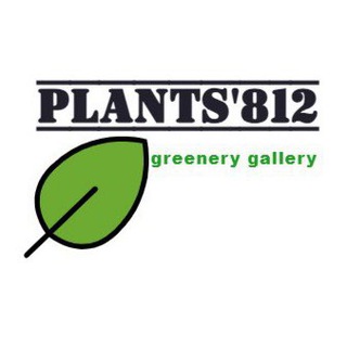 Канал   𝙿𝙻𝙰𝙽𝚃𝚂’𝟾𝟷𝟸