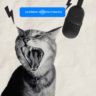 Канал   халявик