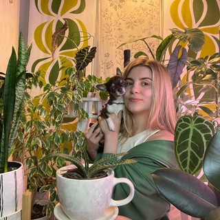 Канал   • ТеРРитория ЗеЛеНи • 🪴