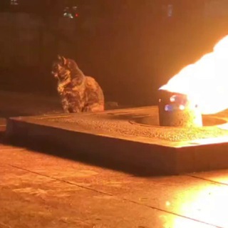 Канал   Мои потуги