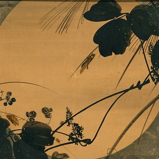 Канал   Mononoaware