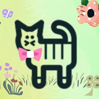 Канал   KRAUM | мир кошек и других животных