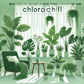 Канал   ℂ𝕙𝕝𝕠𝕣𝕠ℂ𝕙𝕚𝕝𝕝