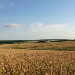 Канал   Губернские истории