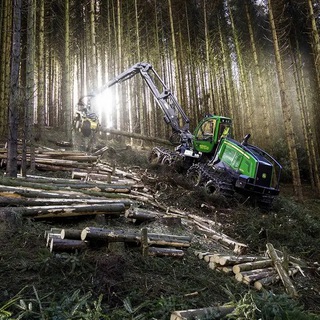 Канал   Ассоциация лесопромышленников Пермского края