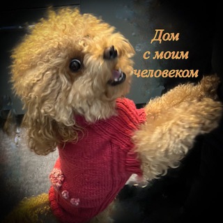 Канал   Дом с моим человеком