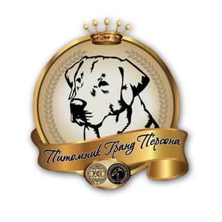 Канал   Puppy kennel GRAND PERSONA👑