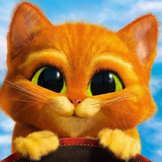 Канал   Смешные ЗверюгИ