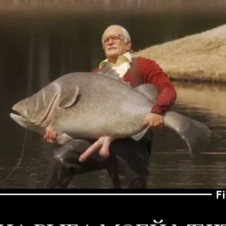 Канал   МОйВА рыба моей мечты! Приколы.