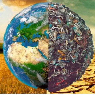 Канал   Еда и Война