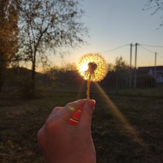 Канал   sunsets/Закаты🌄✨