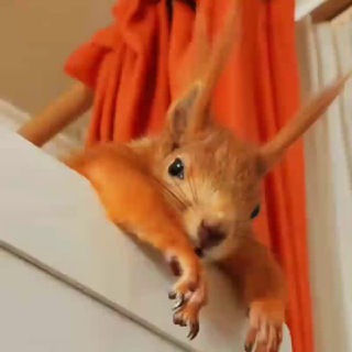 Канал   Хреновый канал