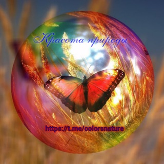 Канал   Красота природы