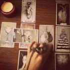 Канал Александра | ТАРО