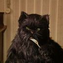 Канал литература детектед