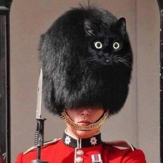 Канал   Лига ЕЕЕ