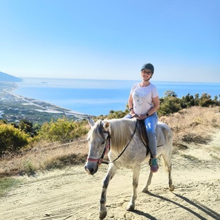 Канал   Мое SEO сегодня